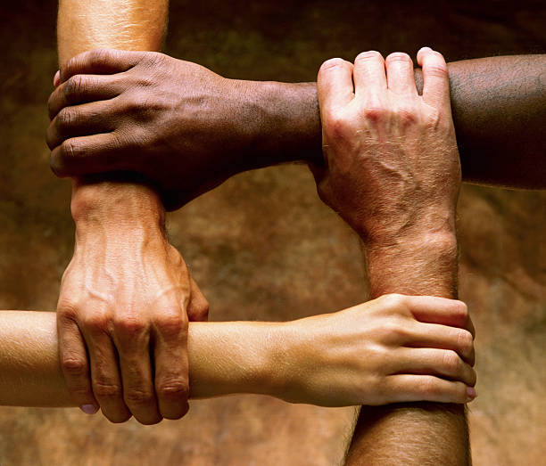 The Art of Harmonious Coexistence: Moving Beyond Mutual Obstruction