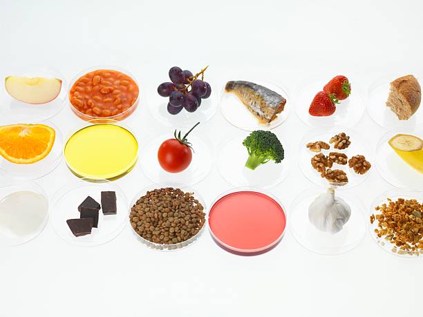 Understanding and Managing the Mystery of Food Cravings