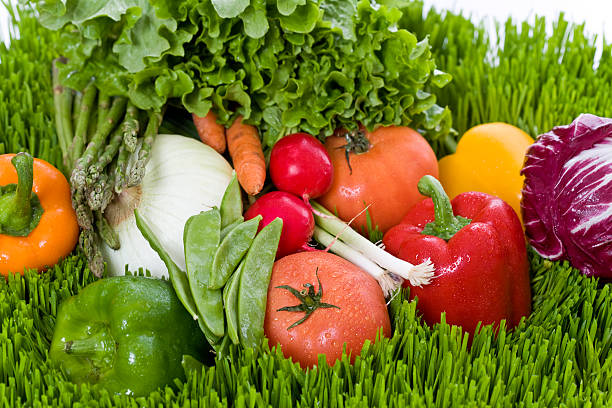 Navigating Diverse Vegetable Preferences with Harmony