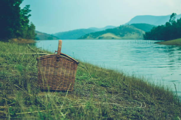Blog Single